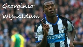 Georginio Wijnaldum ►Skills amp Goals ● 1516 ● Newcastle United ᴴᴰ [upl. by Wieche341]