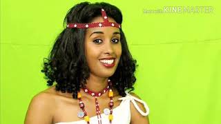 Abdii Luuccee  shaggooyyee New Oromo Music 2019 [upl. by Ekihc]