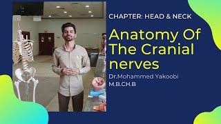 Anatomy of The Cranial Nerves with Dr Mohammed 2020 تشريح عملي [upl. by Neoma]