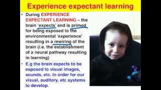 Experience expectant learning  VCE Psychology [upl. by Haisi887]