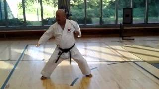 Shotokan Karate Katas [upl. by Acile]