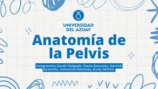 Anatomía de la pelvis ￼ [upl. by Coriss]