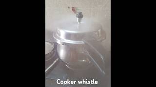 Cooker whistle [upl. by Devora]