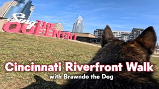 Cincinnati Riverfront Walk with Brawndo the Dog [upl. by Grochow]