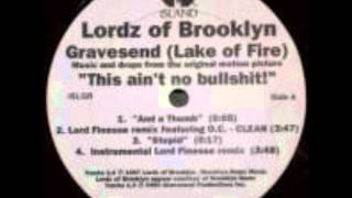 LORDZ OF BROOKLYN  LAKE OF FIRE EXTENDED REMIX [upl. by Selhorst]