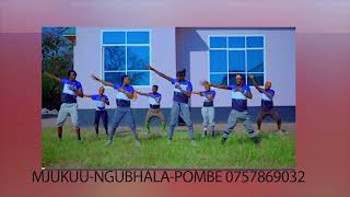 Mjukuu Ngubhala Song Pombe Official Audio [upl. by Cordalia]