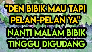 Keindahan Sawah Pembantu baruku bikin gak bisa tidur Cerita Romantis [upl. by Mehcanem]