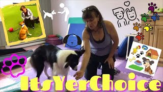 How to Train Your Dog to Leave It with No Command Susan Garretts ItsYerChoice [upl. by Nauwtna]