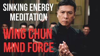 Wing Chun Mind Force  Sinking Energy Meditation  Lesson 23 [upl. by Noe]