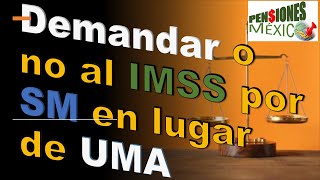 Demandar o no al IMSS para cambiar de UMA a SM [upl. by Nue229]