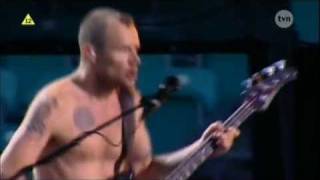 Red Hot Chili Peppers  Dani California  Live in Poland HD [upl. by Albertine]