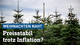 Weihnachtsbäume 2023 Preisentwicklung und Prognosen  Wie teuer wird es dieses Jahr  hessenschau [upl. by Stutzman313]