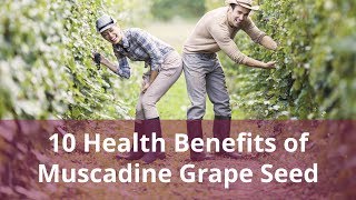 10 Health Benefits of Muscadine Grape Seed [upl. by Nohsed]