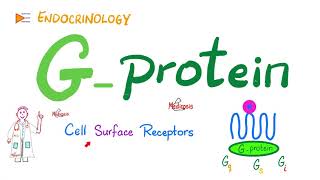 GProtein amp GProteinCoupled Receptors GPCR  Cell Surface Receptor  Physiology  Endocrinology [upl. by Edge995]