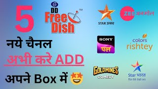 5 channels added on DD Free Dish Set Top Box 🎁  DD Free Dish New Channel 2024  new update today 🔥 [upl. by Kachine595]