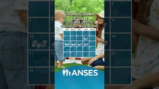 Cronograma de Anses con fechas de pago de asignaciones familiares del SUAF en octubre anses [upl. by Neeloj]