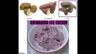 Purple Sweet Potato Ice Cream  Healthiest Recipe on Internet [upl. by Beattie]