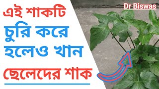 দেশিয় শাক ঘ্যাটকোলের উপকারিতা ও অপকারিতা  Diabetes Control এ শাকটির ভূমিকা  Bengal Arum Benefits [upl. by Letizia807]