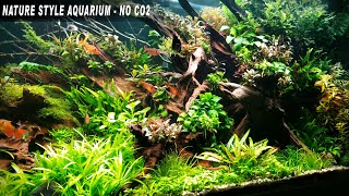 Nature Style Aquarium Low Tech No CO2  CINEMATIC 4K [upl. by Seroka]