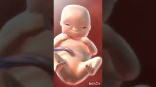 Baby developmentshortviral youtubeshorts [upl. by Ralyt]