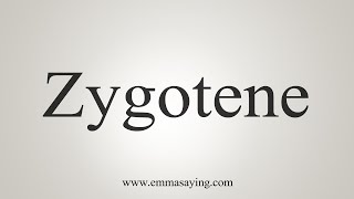 How To Say Zygotene [upl. by Dreyer367]