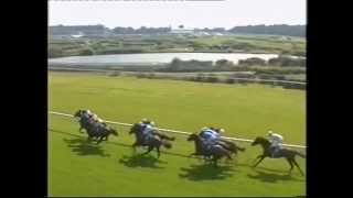 2002 King George VI and Queen Elizabeth Diamond Stakes [upl. by Quinton]