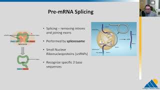 BIOL201 Ch154  RNA Processing in Eukaryotes [upl. by Von]