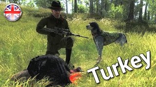 Hunting with Fape 7  quot223 Turkey Huntingquot 33 English 1080p60fps [upl. by Eoin434]