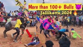 ஜல்லிக்கட்டு 🔥😈 jallikattu 2024  Denkanikottai [upl. by Stricklan528]