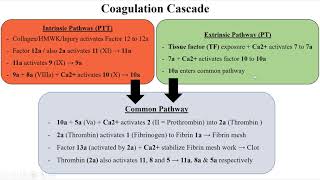 Coagulation Cascade and Disseminated Intravascular Coagulation DIC CLARIFIED [upl. by Enyala342]