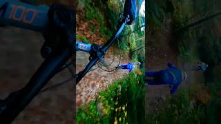 Paganella❤️ divertiti adrenalina downhill amici [upl. by Gamin]