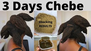 I Left Chebe Powder On My Hair For 3 Days And This Happened To My 4c Natural Hair Shocking Review [upl. by Giglio343]