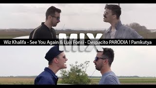 Wiz Khalifa  See You Again amp Luis Fonsi  Despacito PARÓDIA  Pamkutya [upl. by Juditha]