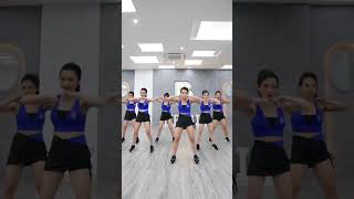 Easy aerobic dance workout for beginners easy [upl. by Schonfeld436]