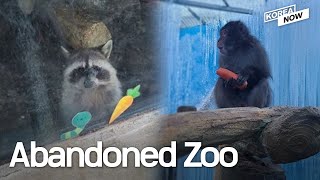 Abandoned and starving zoo animals kept alive by local neighbors [upl. by Monique]