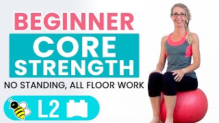 BEGINNER CORE  15 Minute STABILITY BALL Workout for BEGINNERS [upl. by Nahej]