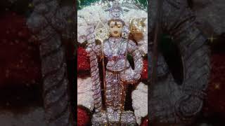 Murugan Song  tamil Devotional songs  samy Song  🎵 Song [upl. by Noreik]