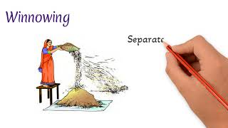 Methods of separation  Handpicking  Threshing  Winnowing  Sieving  Learn to Remember [upl. by Ayt]