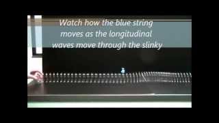 Longitudinal Waves on a Slinky [upl. by Belita]