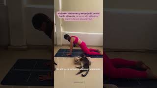 Tips para practicar la postura de yoga chaturanga de manera segura yoga yogaposes [upl. by Aryas920]