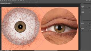 CrazyTalk 8 Tutorial  Enhancing Photo Fitting Eyes [upl. by Fanni]