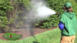 Horticultural Oil Spraying [upl. by Ariaic]