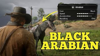 Get this rare Arabian right now  RDR2 [upl. by Paugh]