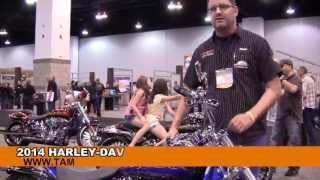 2014 Harley Davidson FXSBSE CVO Softail Breakout Screamin Eagle Motorcycles Models review [upl. by Siraf]