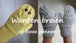 Wanten breien op twee pennen [upl. by Hedaza]