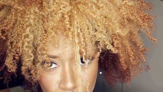 DIY AVOCADO Protein Deep Conditioner  for Dyed Hair  Bri Hall [upl. by Limaa]