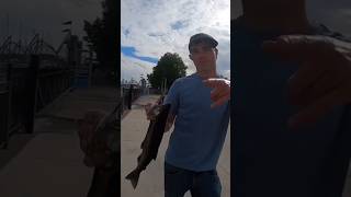 Waukegan Harbor fishing salmon lakemichigan shorts fishingtips motivate motivationalvideo ya [upl. by Cicily]