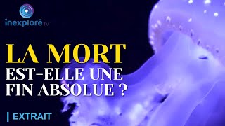 Un regard inédit sur le vivant la mort et ses mystères  1001 métamorphoses Extrait offert [upl. by Yrohcaz]