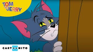 Tom și Jerry  Ouă la micul dejun  Cartoonito [upl. by Adihahs]