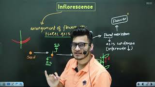 L4 Cymose amp Racemose Inflorescence  Morphology in Flowering Plants  11th Class Biology ft Vipin [upl. by Cassy285]